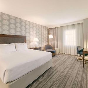 Suite mit 1 Schlafzimmer und mit Kingsize-Bett